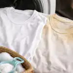 Ubesværet hvidvaskning og hvorfor din yndlings-T-shirt gulner på forræderisk vis ubesvaeret-hvidvaskning-og-hvorfor-din-yndlings-t-shirt-gulner-paa-forraederisk-vis.png